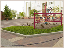North Central College